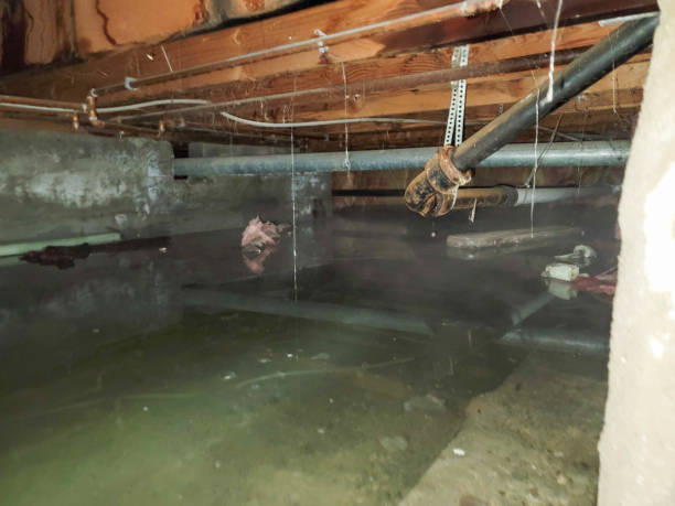 Best Fire Damage Restoration  in Hunters Creek Village, TX