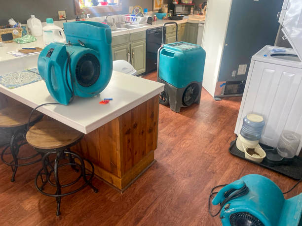 Best Water damage restoration near me  in Hunters Creek Village, TX