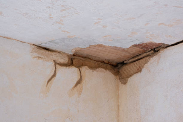 Best Carpet water damage restoration  in Hunters Creek Village, TX