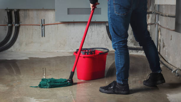 Best Carpet water damage restoration  in Hunters Creek Village, TX