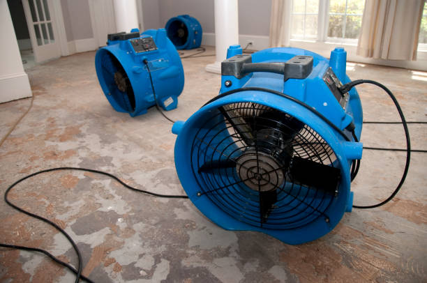 Best Basement water damage restoration  in Hunters Creek Village, TX