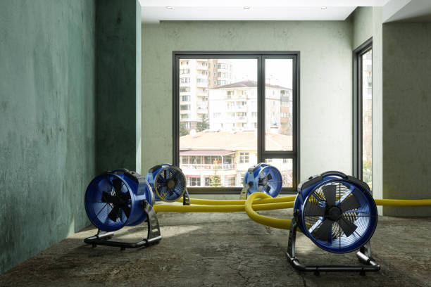Best Professional water damage repair  in Hunters Creek Village, TX